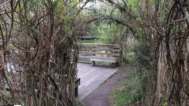 Scotswood Natural Community Garden